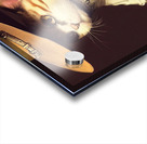 Pilgrim Cat Acrylic print