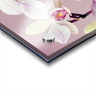 Orchids Acrylic print