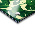 Monstera Deliciosa Leaf  Acrylic print