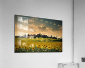 Quintessential Tuscany Acrylic Print