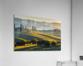 Tuscan Hills Acrylic Print