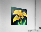 Fractal Yellow Iris Acrylic Print