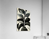 Monochrome Leaves Acrylic Print