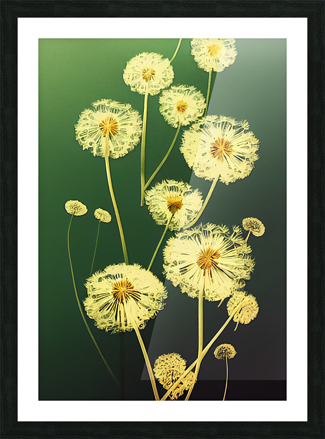 Dandelions Picture Frame print