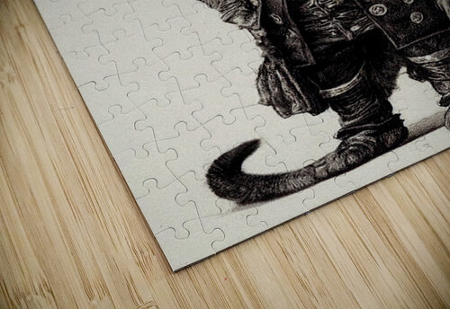 Cat Pirate Granny Mouse puzzle