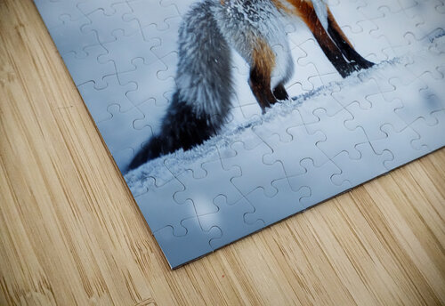 Time to Hunt Granny Mouse puzzle