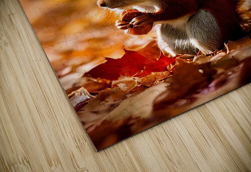 Preparing for Fall Granny Mouse puzzle