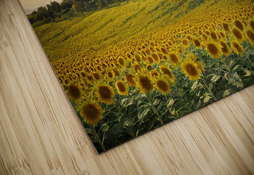 Quintessential Tuscany Granny Mouse puzzle