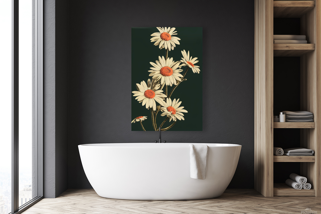 White Daisies  Reproduction