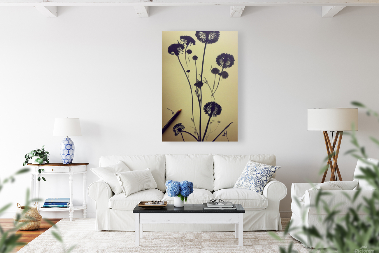 Dandelions Reproduction