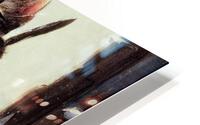 Travelling Mouse HD Metal print