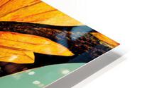 Colourful Leaves HD Metal print