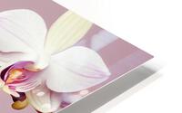 Orchids HD Metal print
