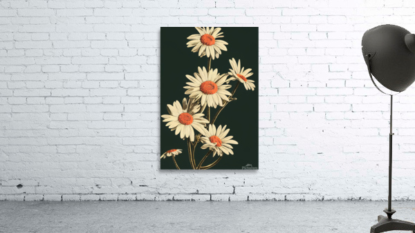 White Daisies  Wall Preview