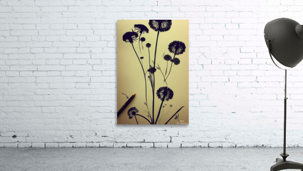 Dandelions Wall Preview