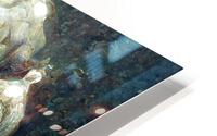 Abalone 2 HD Metal print