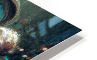Abalone 3 HD Metal print