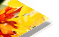 Puakenikeni Lei HD Metal print