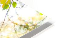 Changing HD Metal print