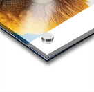 IMG 20240514 075202 5000 x 3000 pixel Acrylic print