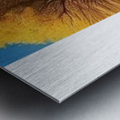 IMG 20240514 075202 5000 x 3000 pixel Metal print