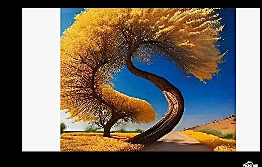 IMG 20240514 075202 5000 x 3000 pixel Reproduction