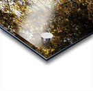 Velvet Falls Acrylic print