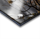 Crimson Storm Acrylic print