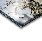 Silent Guardian Acrylic print