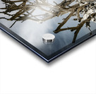 Tangled Drift Impression Acrylique