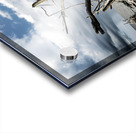 Driftwood Symphony Acrylic print