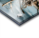 Storms Peaceful Prelude Acrylic print