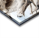 Sturdy Elegance Acrylic print