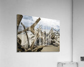 Snail Sanctuary Acrylic Print