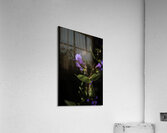 Elegance in Violet Acrylic Print