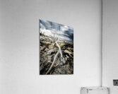 Nature s Drama Acrylic Print