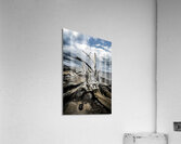 Driftwood Symphony Acrylic Print
