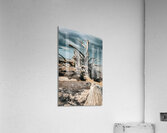 Storms Peaceful Prelude Acrylic Print