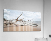 Whispers of Serenity Acrylic Print