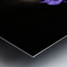 Elegance in Violet Metal print