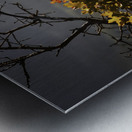 Alpine Radiance Metal print