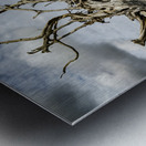 Silent Guardian Metal print