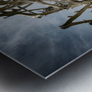 Tangled Drift Impression metal