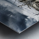 Nature s Drama Metal print