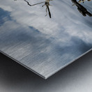 Driftwood Symphony Metal print