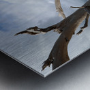 Eternal Embrace Metal print