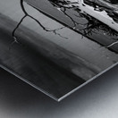 Tempest Trace Metal print