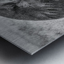 Monochrome Majesty Metal print