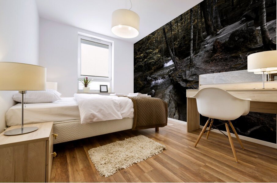 Autumn Cascade Mural print