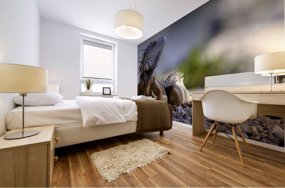 Dragon’s gaze Mural print